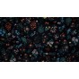 coton fleurs rifle paper co