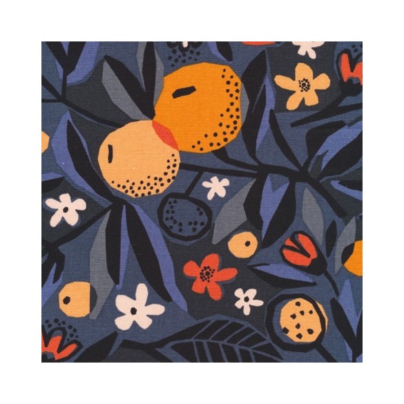 Canvas sun candy in shade - Collection under one sky - Cloud9 fabrics