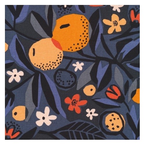 Canvas sun candy in shade - Collection under one sky - Cloud9 fabrics Canvas sun candy in shade - Collection under one sky - Cloud9 fabrics