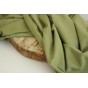 jersey coton bio certifié - vert mousse