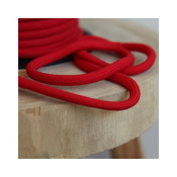 cordon rouge - un chat sur un fil