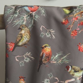 soft shell imprimé oiseaux - taupe