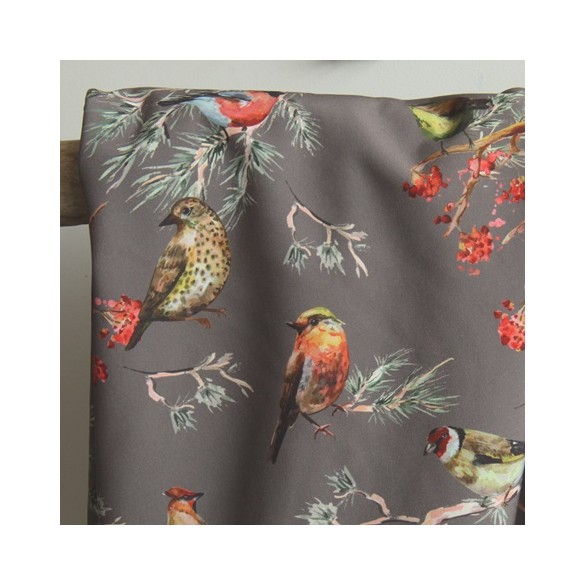 soft shell imprimé oiseaux - taupe
