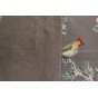 tissu imperméable soft shell - bird