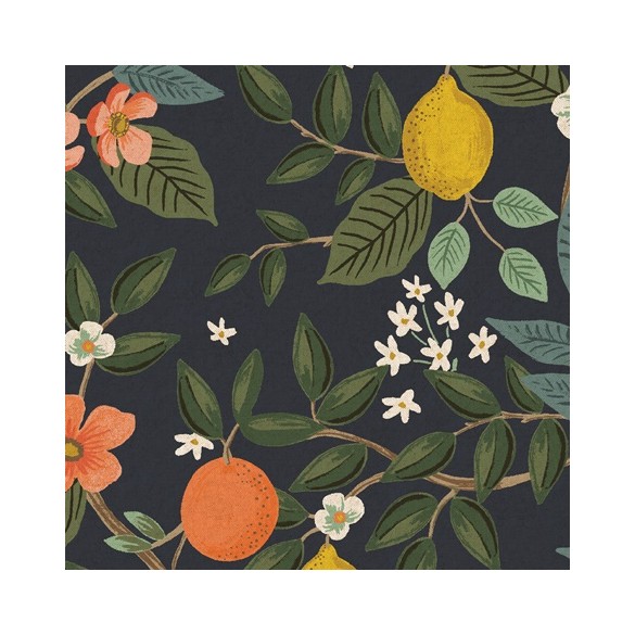 COTON CANVAS - citrus grove navy