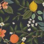 COTON CANVAS - citrus grove navy