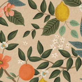 coton canvas citrus grove natural - rifle paper co