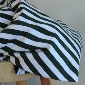 jersey rayures vert sapin et blanc