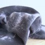 tissu double gaze tie and dye - un chat sur un fil