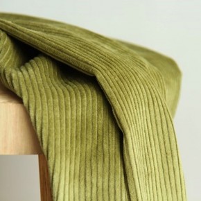 tissu vert - velours