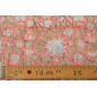 coton indien - clorinde