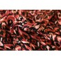 twill de viscose - un chat sur un fil