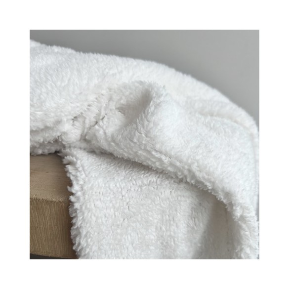 sherpa blanc - un chat sur un fil