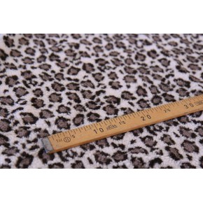 sherpa léopard - un chat sur un fil