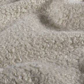 bouclette - un chat sur un fil