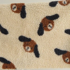 Teddy sherpa dogs - un chat sur un fil