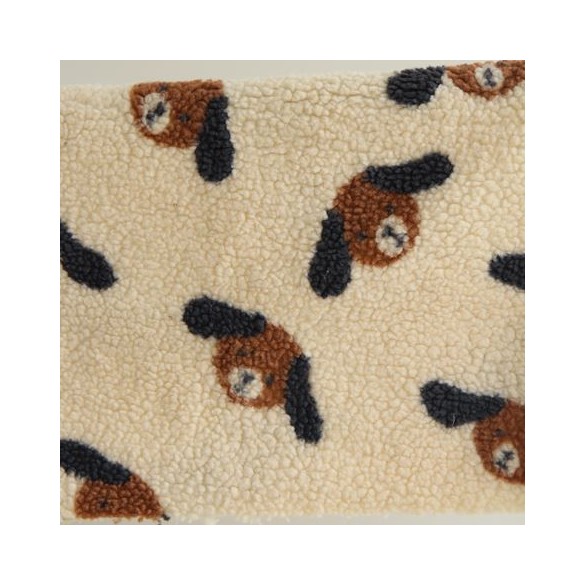 Teddy sherpa dogs - un chat sur un fil