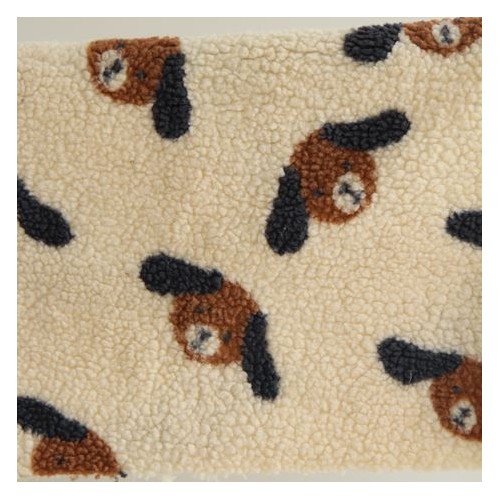 Teddy sherpa dogs - un chat sur un fil