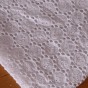 Broderie anglaise blanc - un chat sur un fil