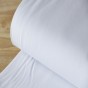 jersey coton bio blanc